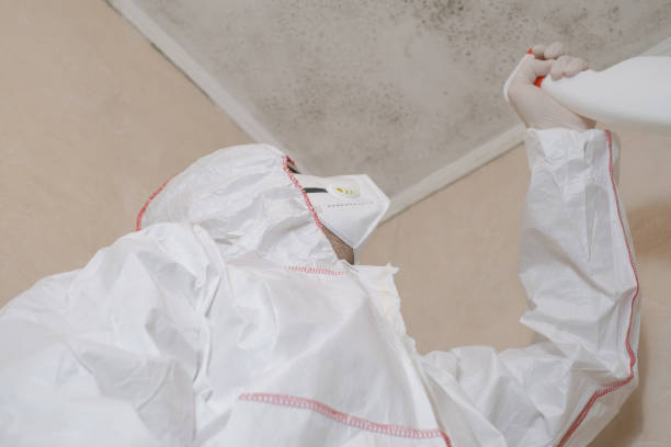 Ellisville, MO Mold Remediation Company